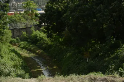 DSC_7560 (Large).JPG